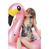 Flamingo Inflatable Pool Float - Jasonwell