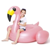 Flamingo Inflatable Pool Float - Jasonwell