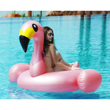 Flamingo Inflatable Pool Float - Jasonwell