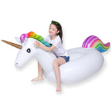 Funny Inflatable Pool Floats