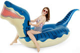 Dinosaur Drawing Pool Float Toys
