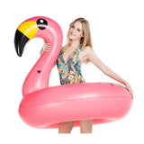 Flamingo Inflatable Pool Tube - Jasonwell